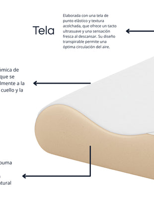 Almohada EBDreams Memory Foam Estandar Media Ergonómica Bambú El Bazar Store